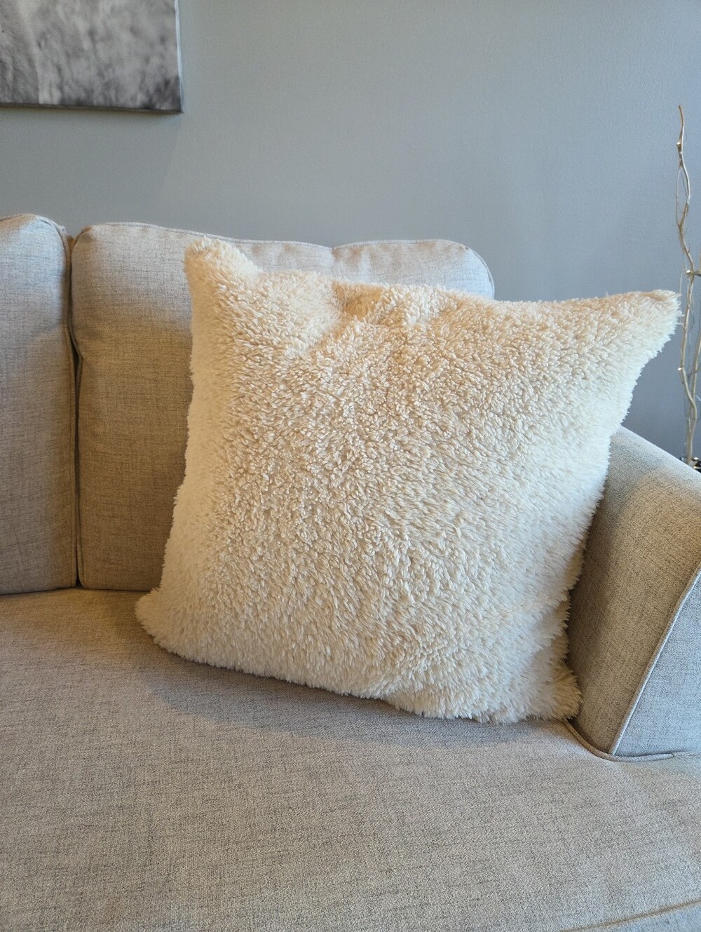 POTTERY BARN Cozy Teddy Faux Fur Down Filled Pillow - 26"